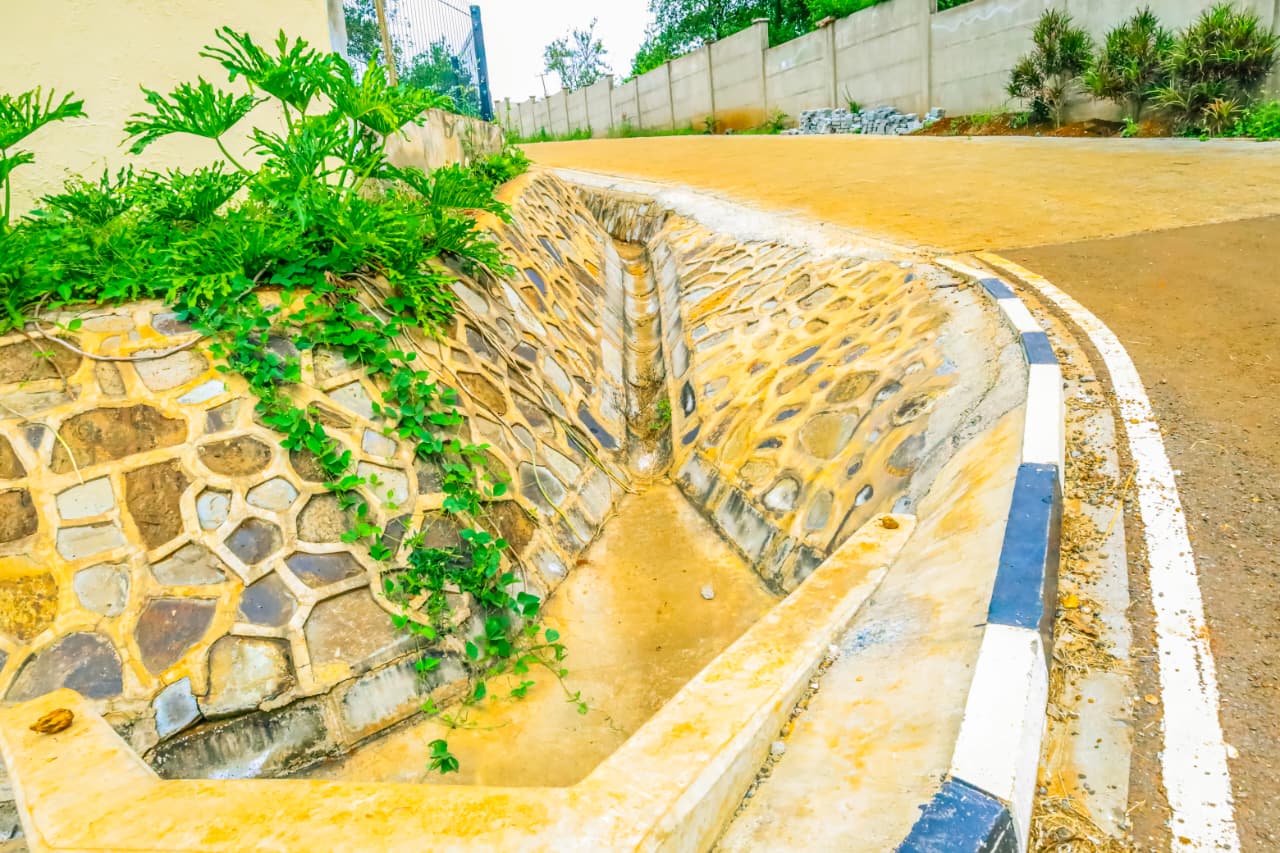 Thika Grove, Chania image 2